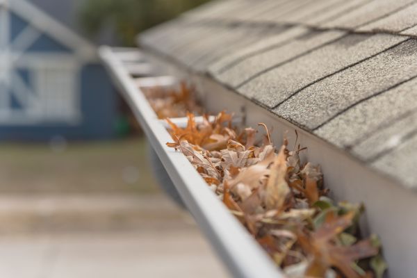 Leaf Barrier Installation in Aurora